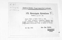 Image Associated With the Occurence